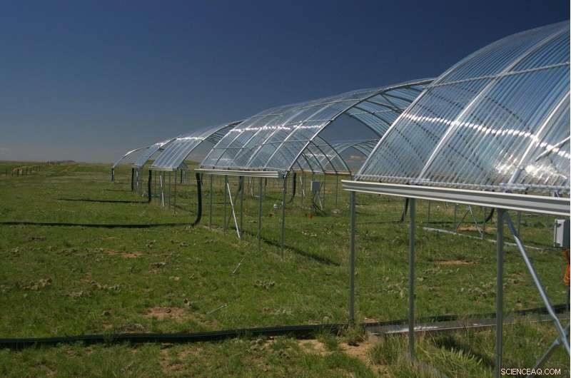 Groundbreaking Study Unveils Answer to Dust Bowl Mystery