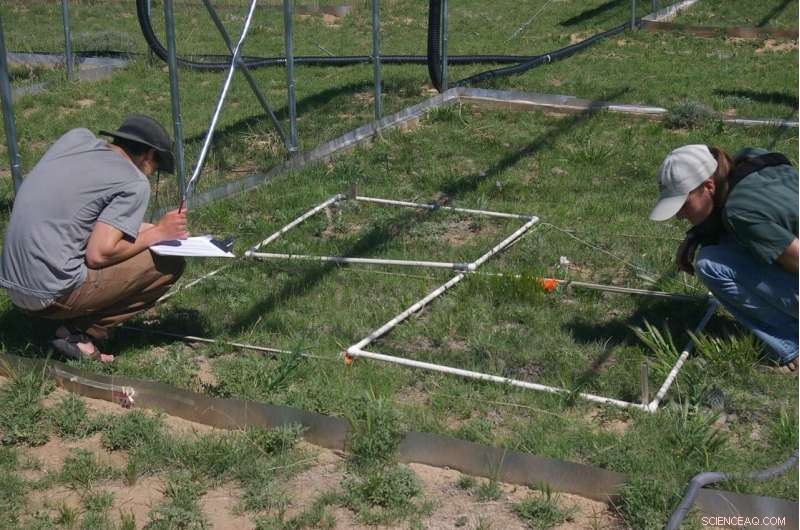 Groundbreaking Study Unveils Answer to Dust Bowl Mystery