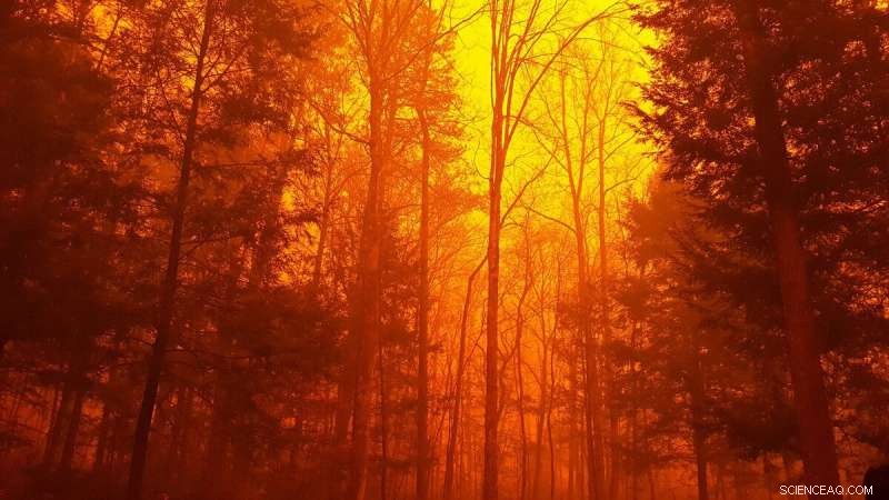 Using Chimney Tops 2 Fire Insights to Enhance Evacuation Strategies