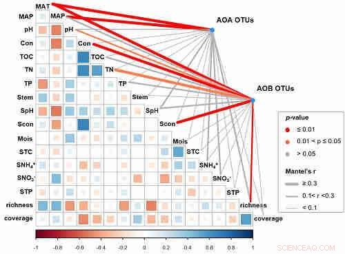 Environmental Drivers Shaping Ammonia‑Oxidizer Communities in Tibetan Wetland Soils