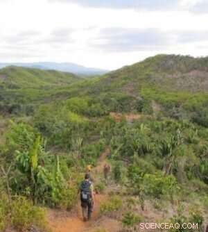 New Rare Metal Sources Found in Madagascar: Key to Modern Tech