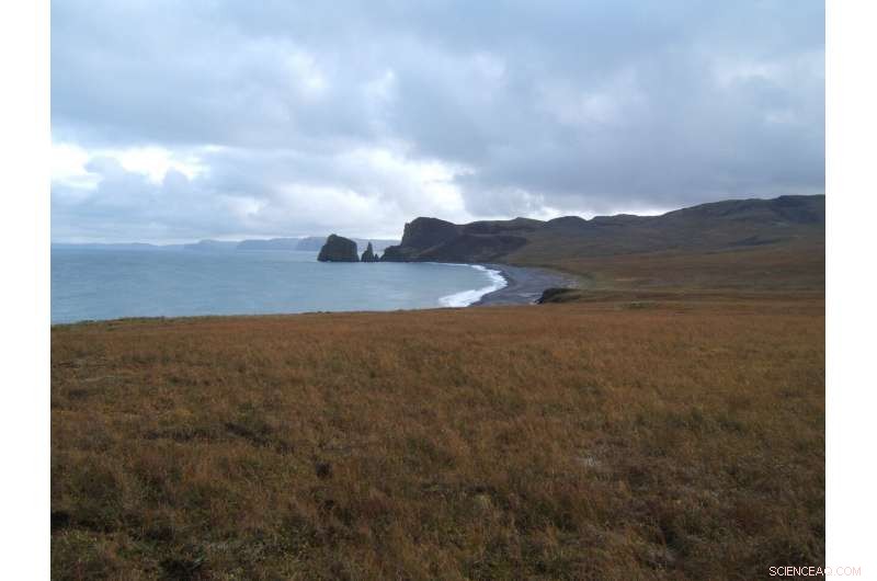 Bering Sea Ice Extent Reaches Lowest Levels in 5,500 Years, New Study Shows