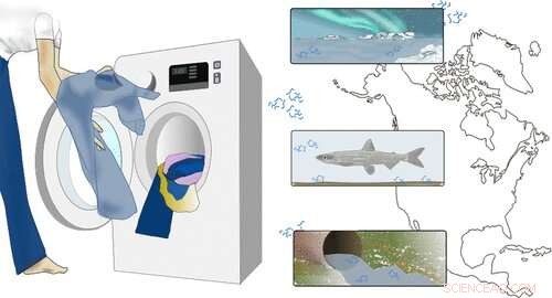 Blue Jeans: Unseen Microfiber Pollution