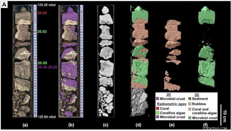 Ocean Acidification Threatens the Great Barrier Reef s Structural Glue