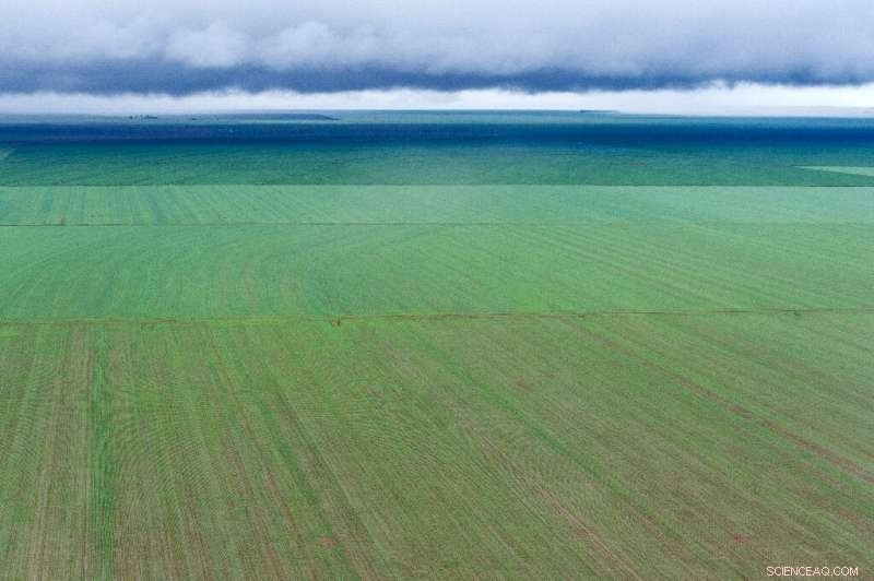 Amazon Railroad Project Unites Unexpected Allies Against Its Expansion