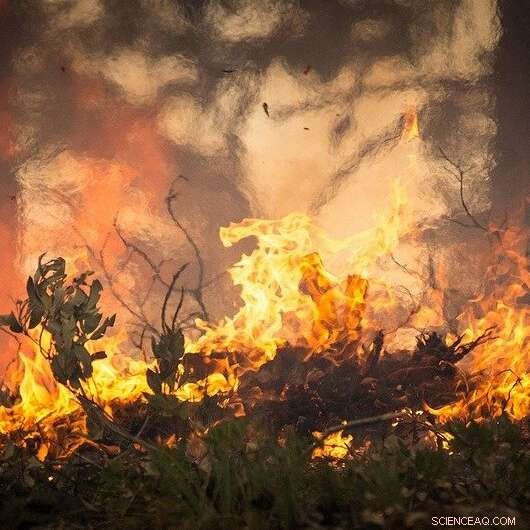 Wildfires Release Mineral Particles that Trigger Ice Formation in Clouds