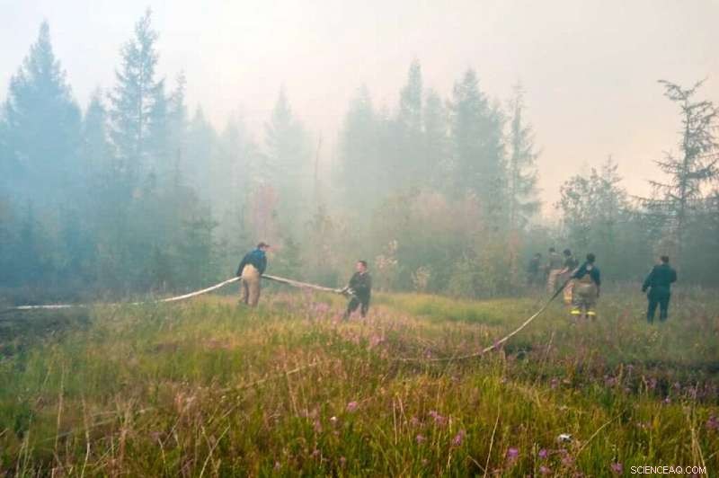 EU Reports Record CO2 Emissions from Arctic Wildfires