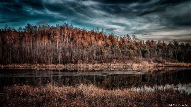 Lake Ontario Bay Reveals Climate Change and Human Impact on Coastal Habitats