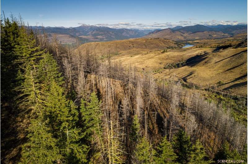 Controlled Burns: A Strategic Response to Methow Valley Wildfires