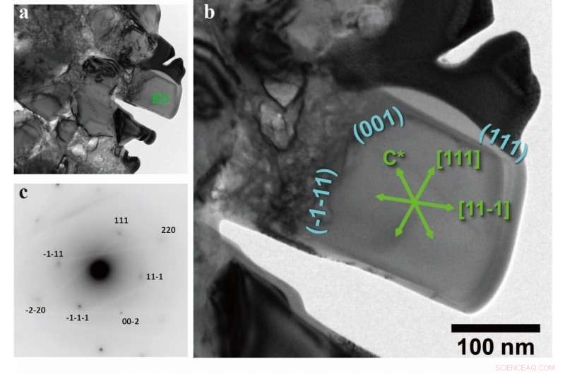 Japanese Geologic History Reexamined: Microdiamond Discovery in Nagasaki Metamorphic Rocks