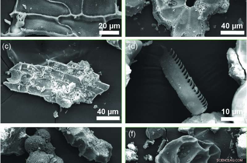 Unveiling the Global Silicon Cycle: Insights from Ancient Australian Soils
