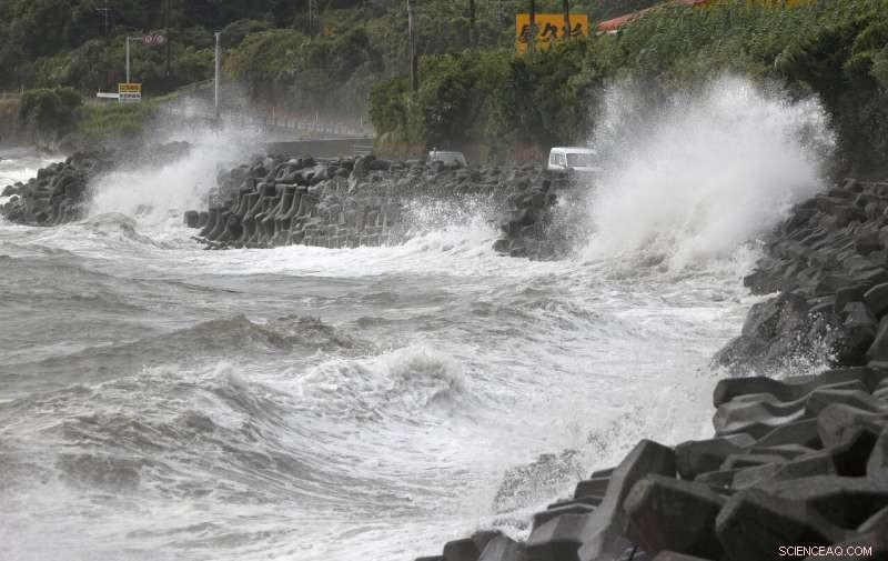 Typhoon Brings Heavy Rain and Strong Winds to Southern Japan