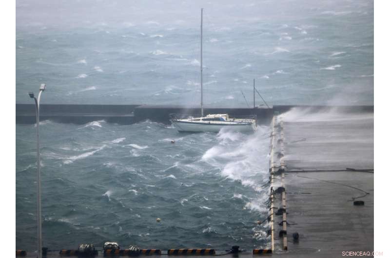 Typhoon Brings Heavy Rain and Strong Winds to Southern Japan