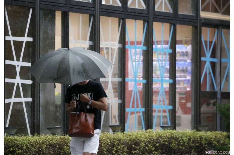 Typhoon Brings Heavy Rain and Strong Winds to Southern Japan