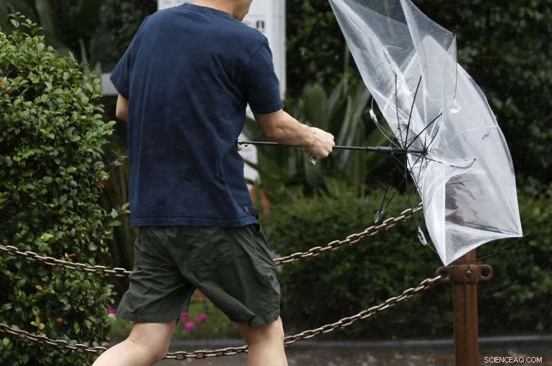 Typhoon Brings Heavy Rain and Strong Winds to Southern Japan