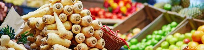 Citizen Science: Measuring the Carbon Footprint of Your Food