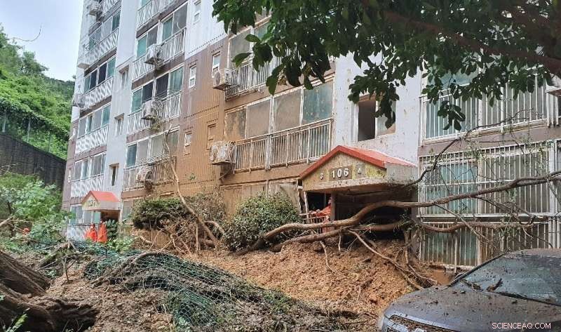 Typhoon Strikes South Korea, Sparking Landslides in Japan