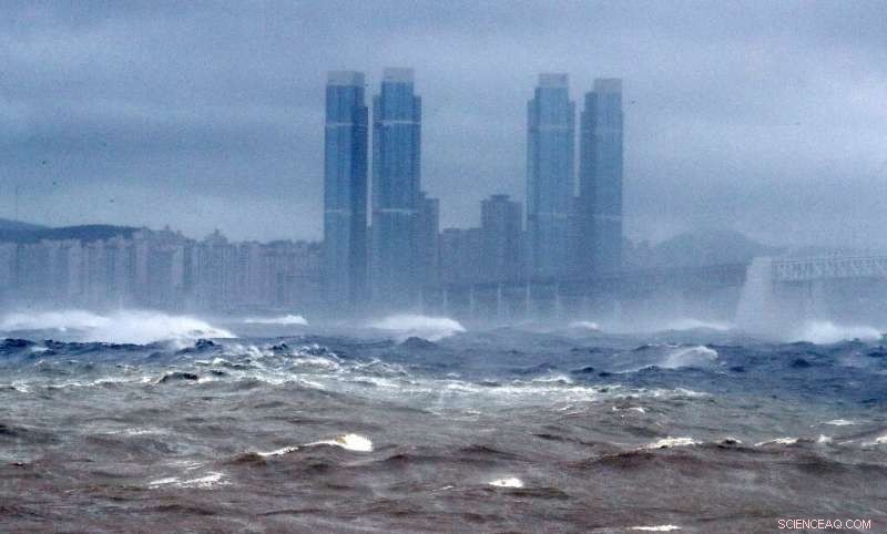 Typhoon Strikes South Korea, Sparking Landslides in Japan