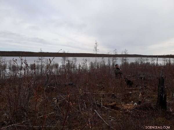 Russia s Zimov Family: Resurrecting Permafrost to Combat Climate Crisis