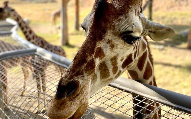 Climate Change Threatens Tourism in Palm Springs and Coachella Valley, UC Riverside Study Shows