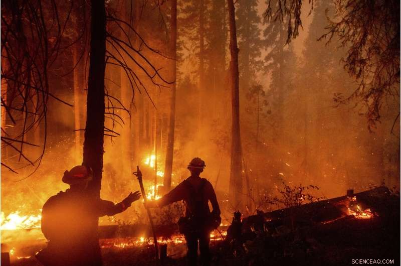 California Wildfires Prompt Helicopter Rescues and Power Shutoffs