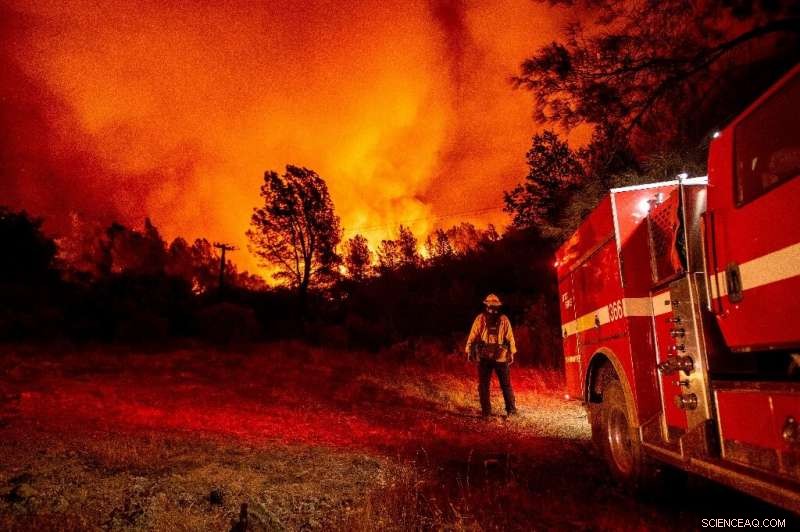 Western U.S. Faces Unprecedented Wildfire Crisis