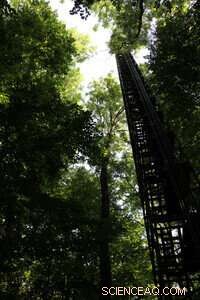 The 2018 Summer Drought: Implications for Ecosystems, Water Resources, and Human Communities