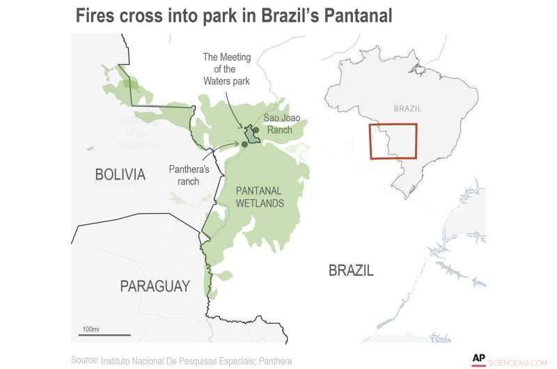 Brazilian State Park Threatened by Wildfires, Endangering Jaguars