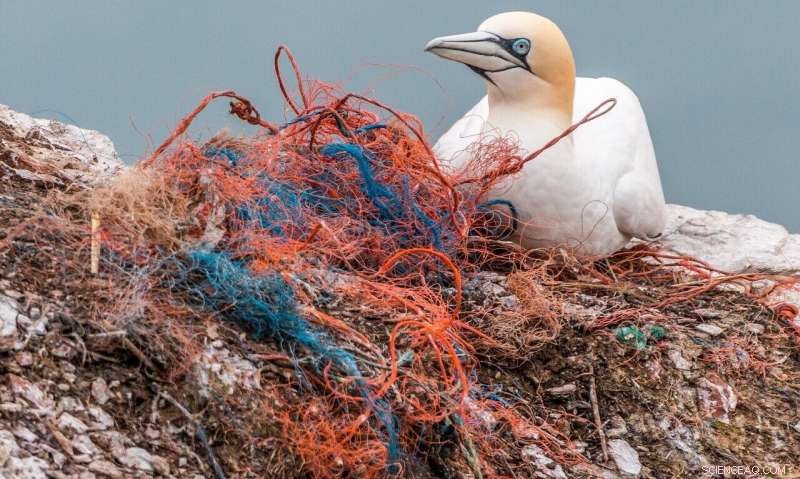 High Cost of Plastic Cleanup Threatens Small Island Nations
