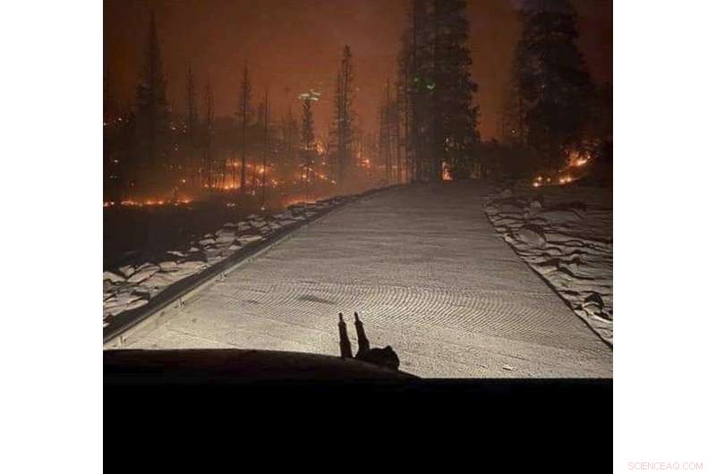 California Wildfires Surge: Rapid Expansion and Speed Raise Alarms