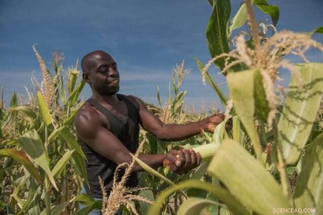 Reimagining Africa s Food Future: Merging Agriculture with Conservation