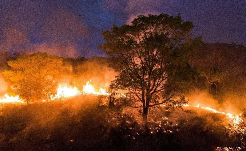 Understanding the Fires Devastating Brazil’s Pantanal Wetlands