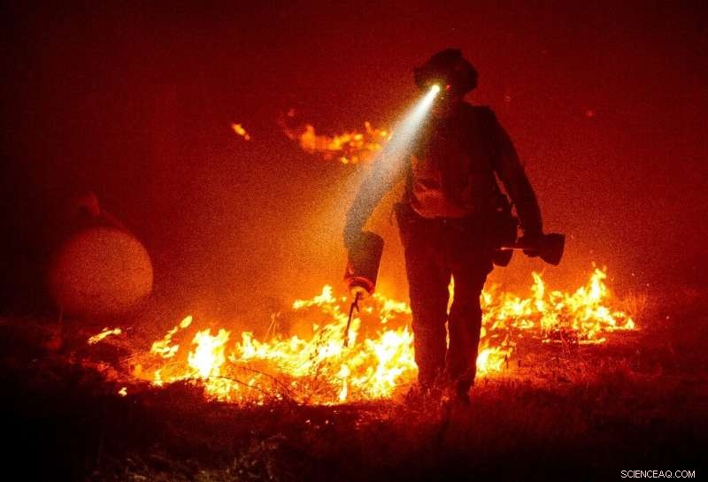 Western U.S. Wildfires Claim 16 Lives, Evacuate 500,000; Nationwide Firefighters Respond