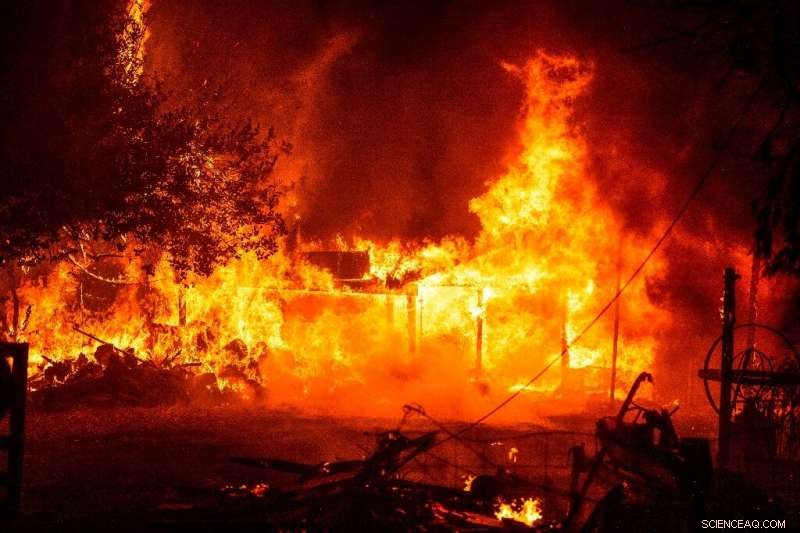 Western U.S. Wildfires Claim 16 Lives, Evacuate 500,000; Nationwide Firefighters Respond