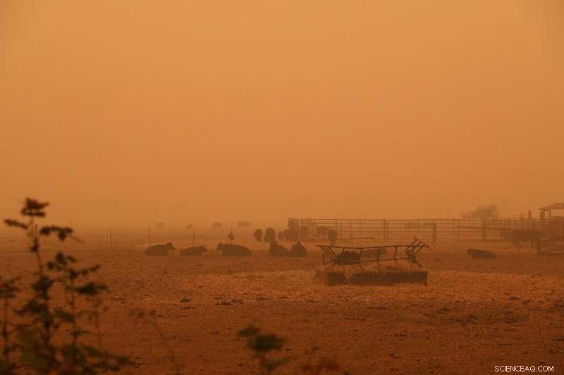 California Confronts Record-Breaking Wildfire as Eight Fatalities Reported Across Western U.S.