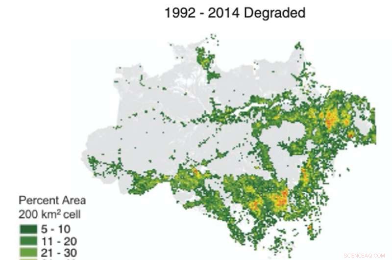 Amazon Forests: Degradation Accelerates Faster Than Deforestation