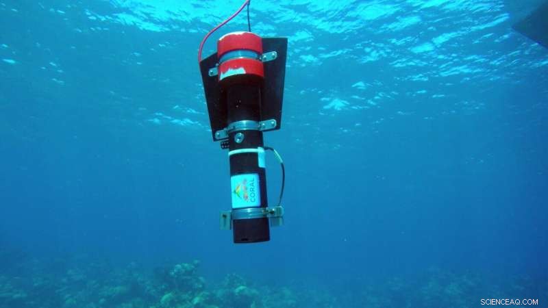 Advanced Radiometric Profiling Illuminates Coral Reef Health