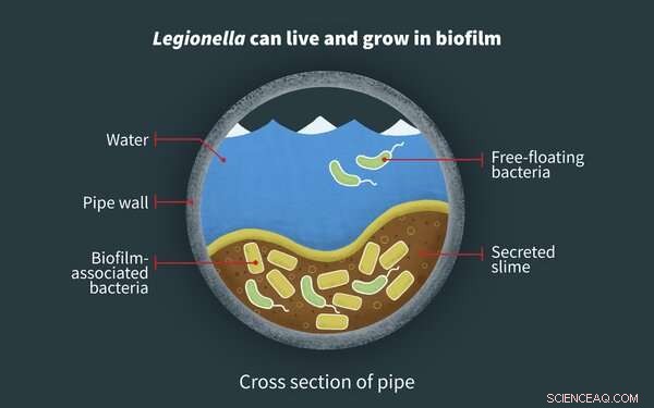 Dangerous Bacteria Detected in School Water Systems