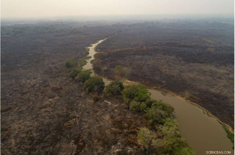 Battle to Save Brazil’s Pantanal Wetlands from Wildfire Destruction