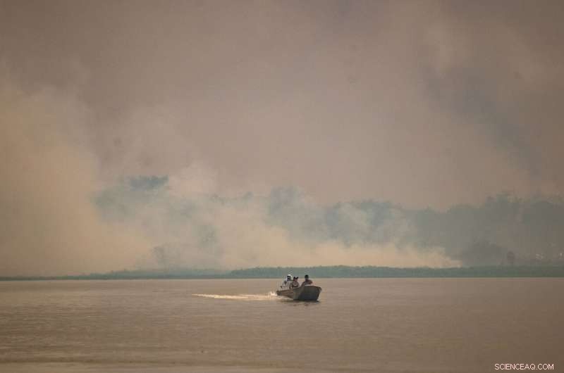 Battle to Save Brazil’s Pantanal Wetlands from Wildfire Destruction