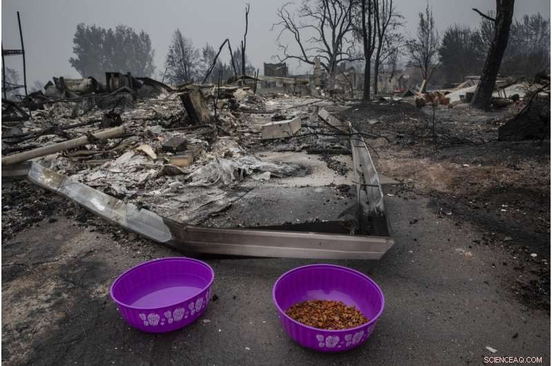West Coast Suffers Smoke Crisis as Wildfire Fatalities Climb