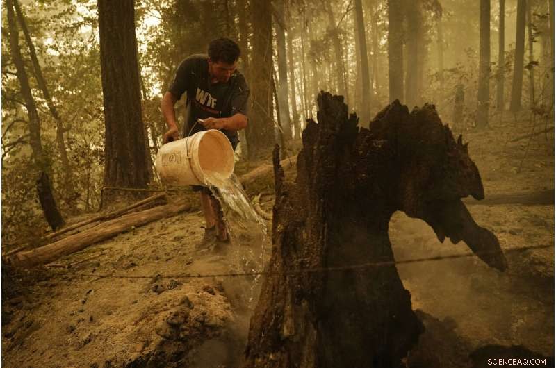 West Coast Suffers Smoke Crisis as Wildfire Fatalities Climb