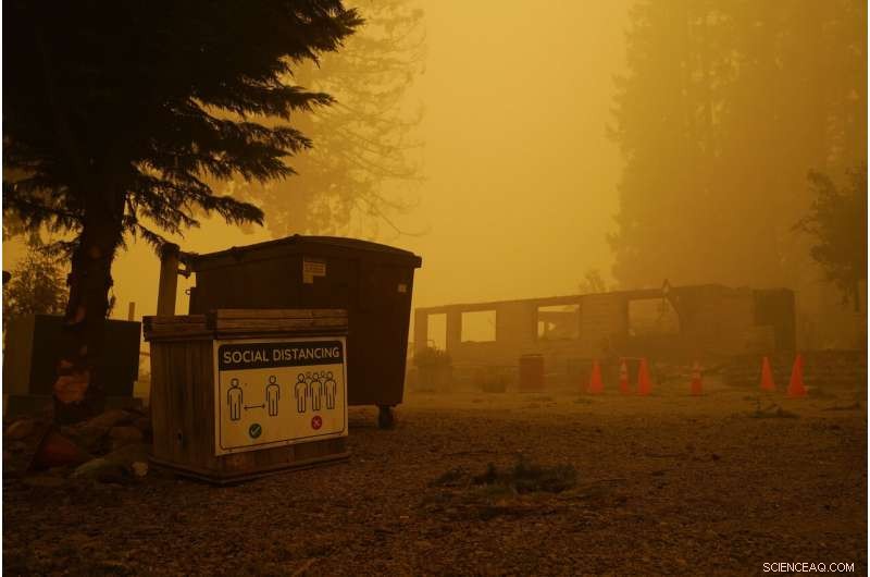 West Coast Suffers Smoke Crisis as Wildfire Fatalities Climb
