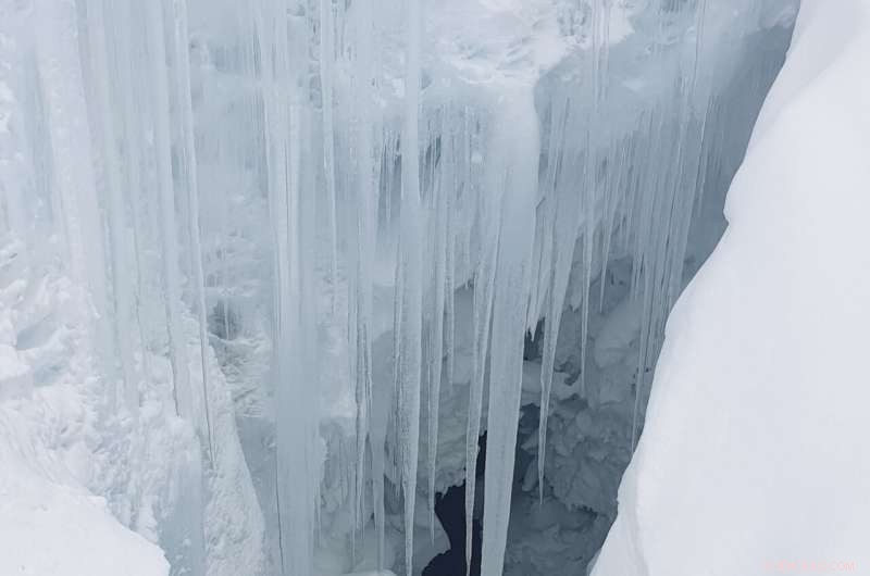 Antarctica Remains COVID‑Free: Can the Remote Continent Stay Pandemic‑Free?