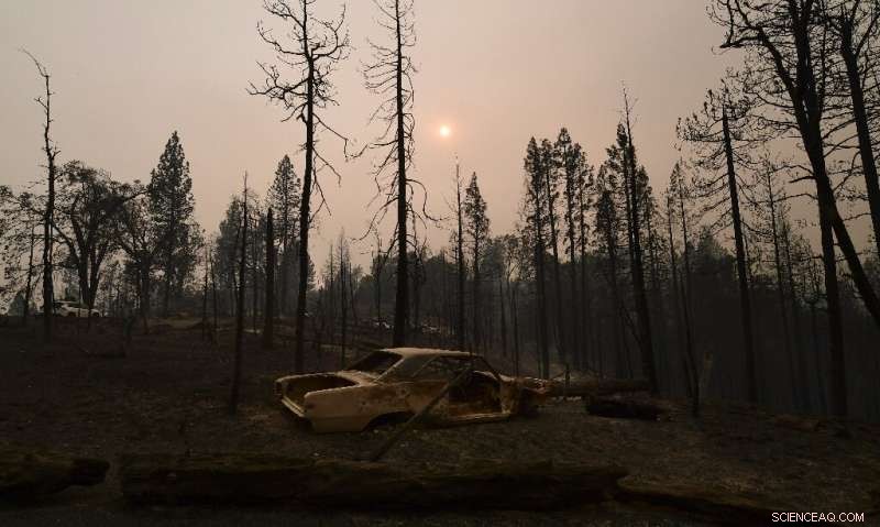 US Prepares for Escalating West Coast Wildfire Fatalities