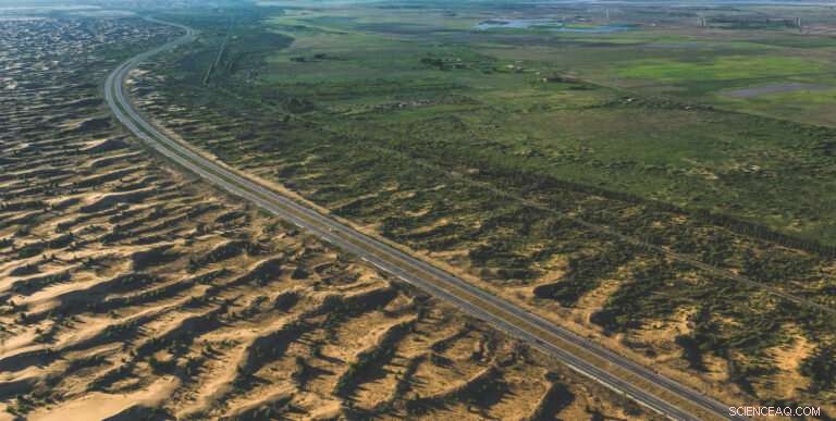 China s Ecological Restoration Efforts Strip Groundwater: A Growing Concern