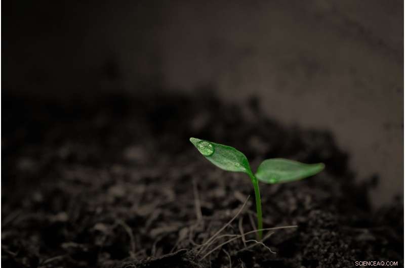 Global Study Reveals First Ever Quantification of Phosphorus Loss from Soil Erosion