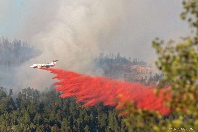 Impact of Fire Retardant Sprays on Wildfire Dynamics and Ecosystems