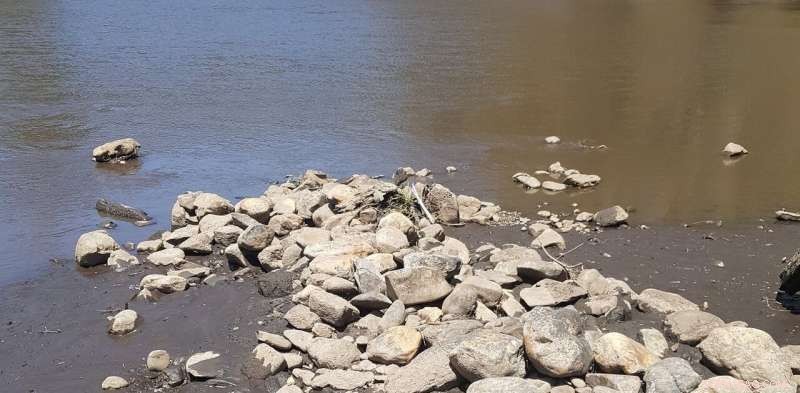 Bushfires, Rain, and the Crisis of Our Waterways: How We Can Protect Them