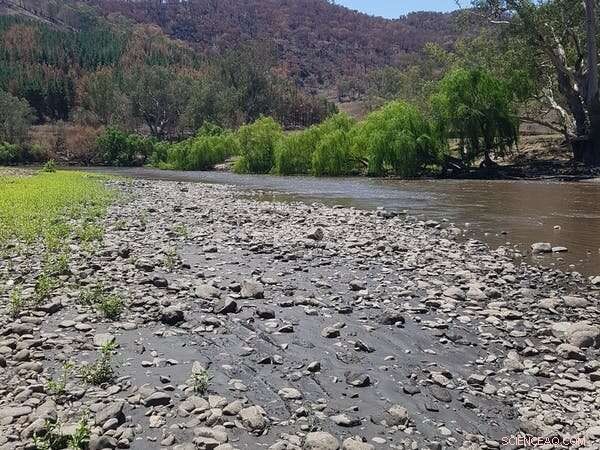 Bushfires, Rain, and the Crisis of Our Waterways: How We Can Protect Them